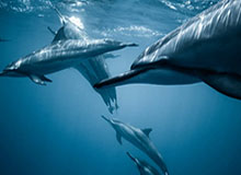 开云登录入口地址全攻略：轻松开启时尚新世界